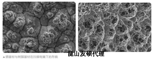 南京蔡司南京扫描电镜