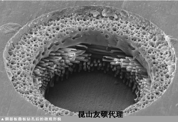 南京蔡司南京扫描电镜